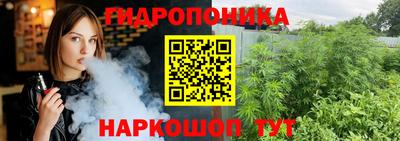 крисы Вязники