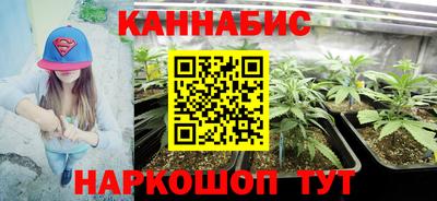 крисы Вязники