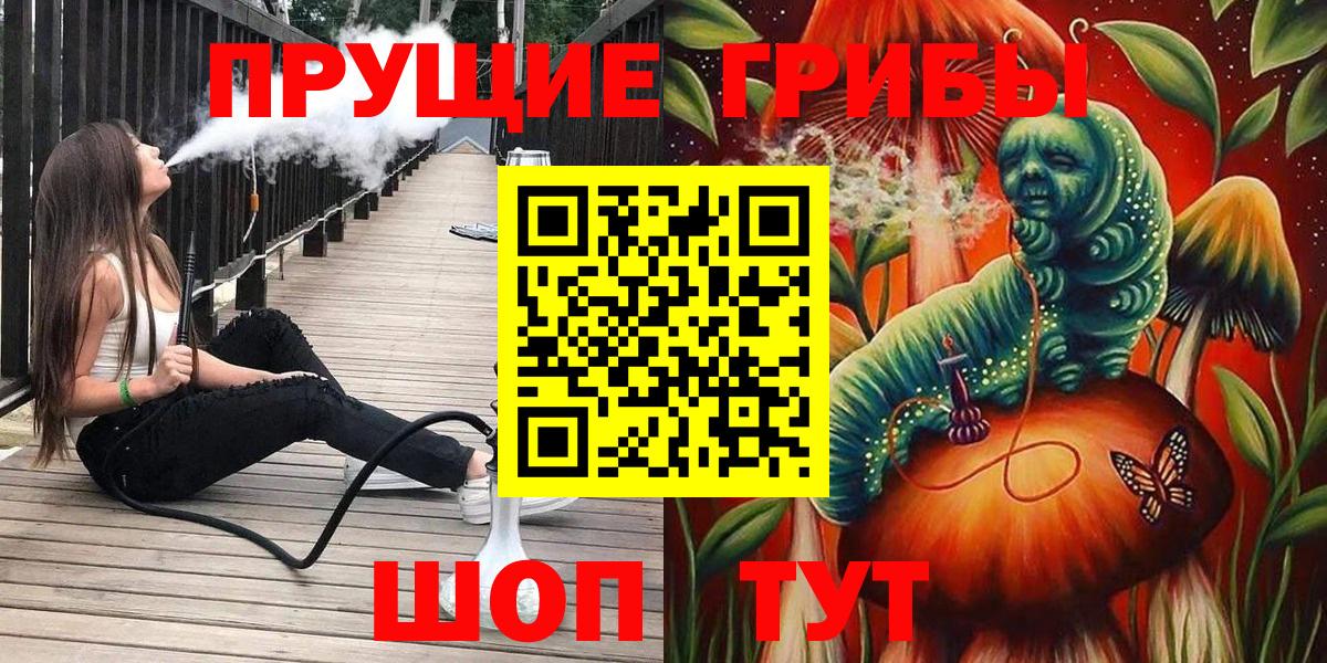 Звенигород  Псилоцибиновые грибы ЛСД  Псилоцибиновые грибы Psilocybine cubensis  Вход с VPN 